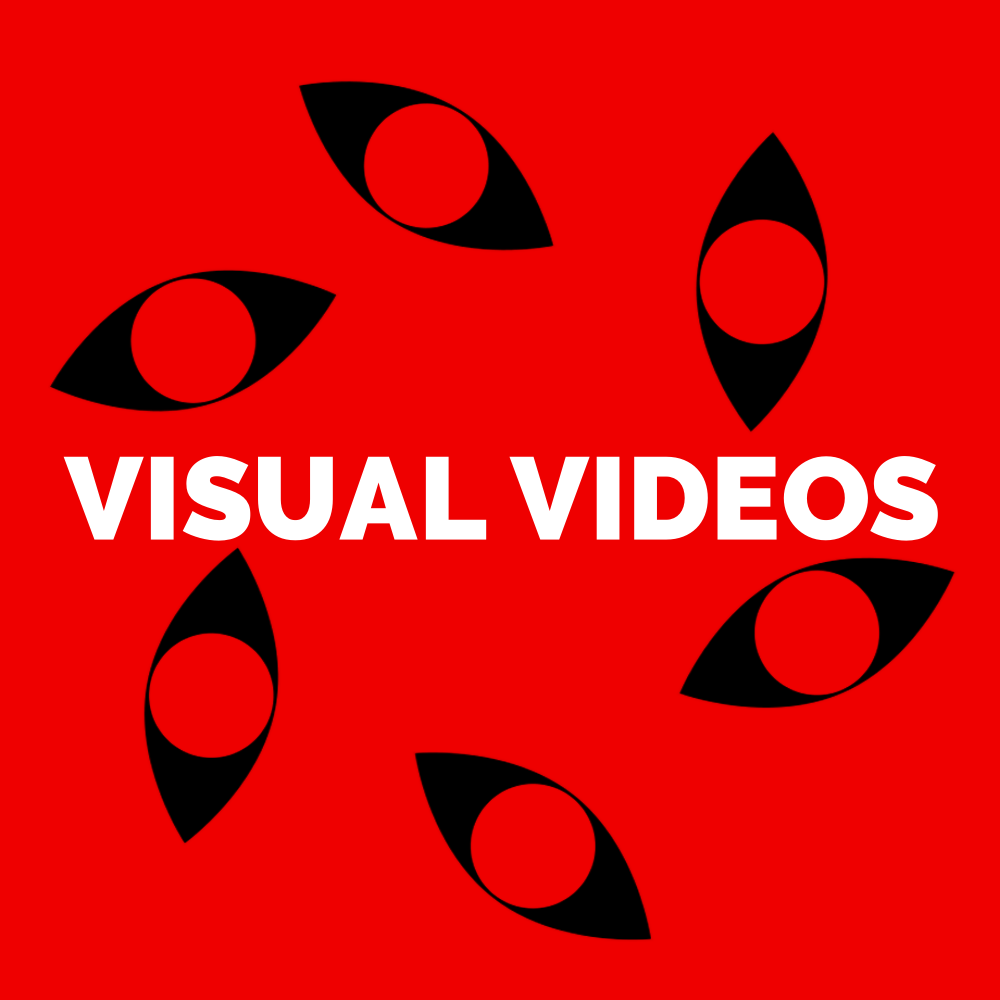 Visual Videos